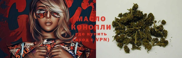 ECSTASY Бородино