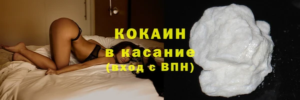 ECSTASY Бородино