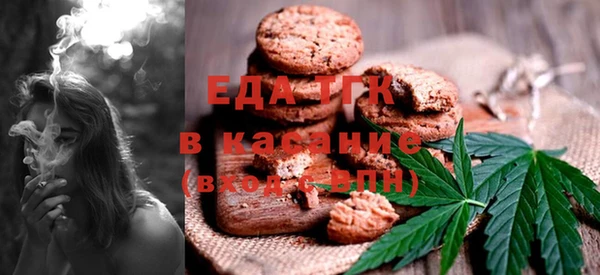 ECSTASY Бородино