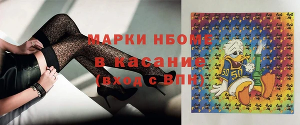 ECSTASY Бородино