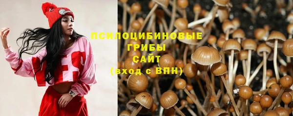 ешки Бугульма