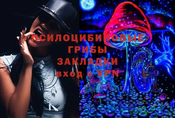 ПСИЛОЦИБИНОВЫЕ ГРИБЫ Бронницы